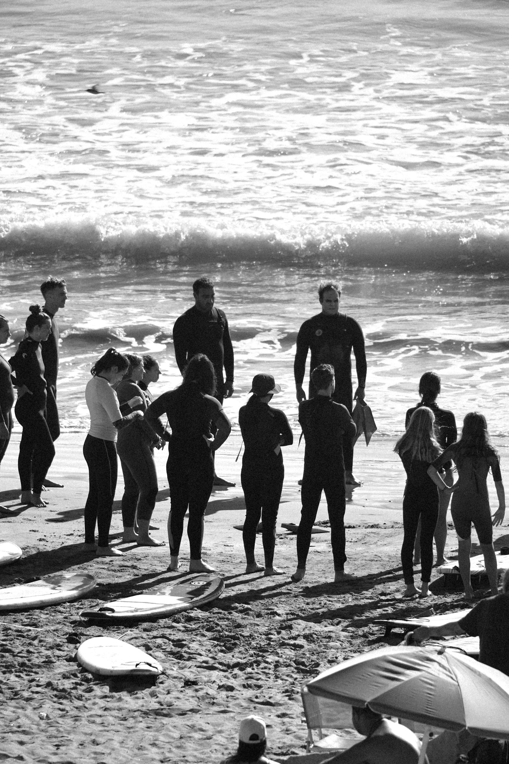 Home A group of surfers in wetsuits preparing by the ocean on a sunny day.